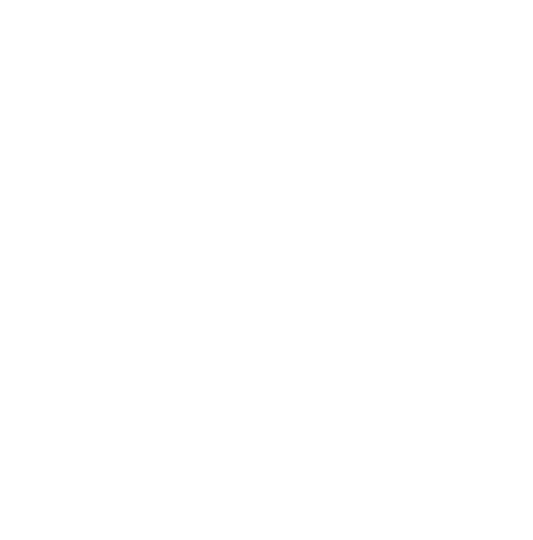 Maritime Inspection Services S.A. — Panama
